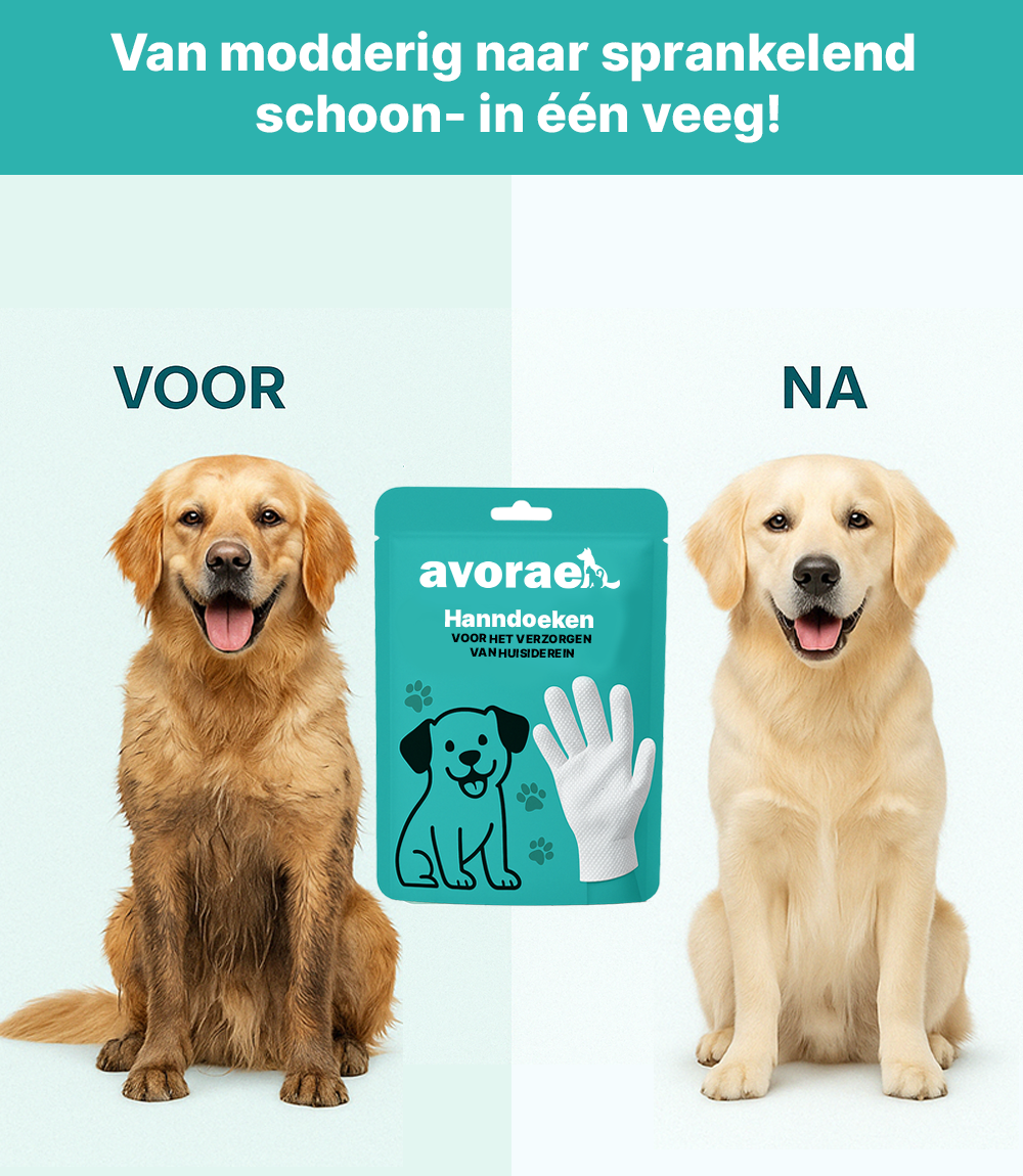 Handschoendoekjes | Voor het verzorgen van huisdieren