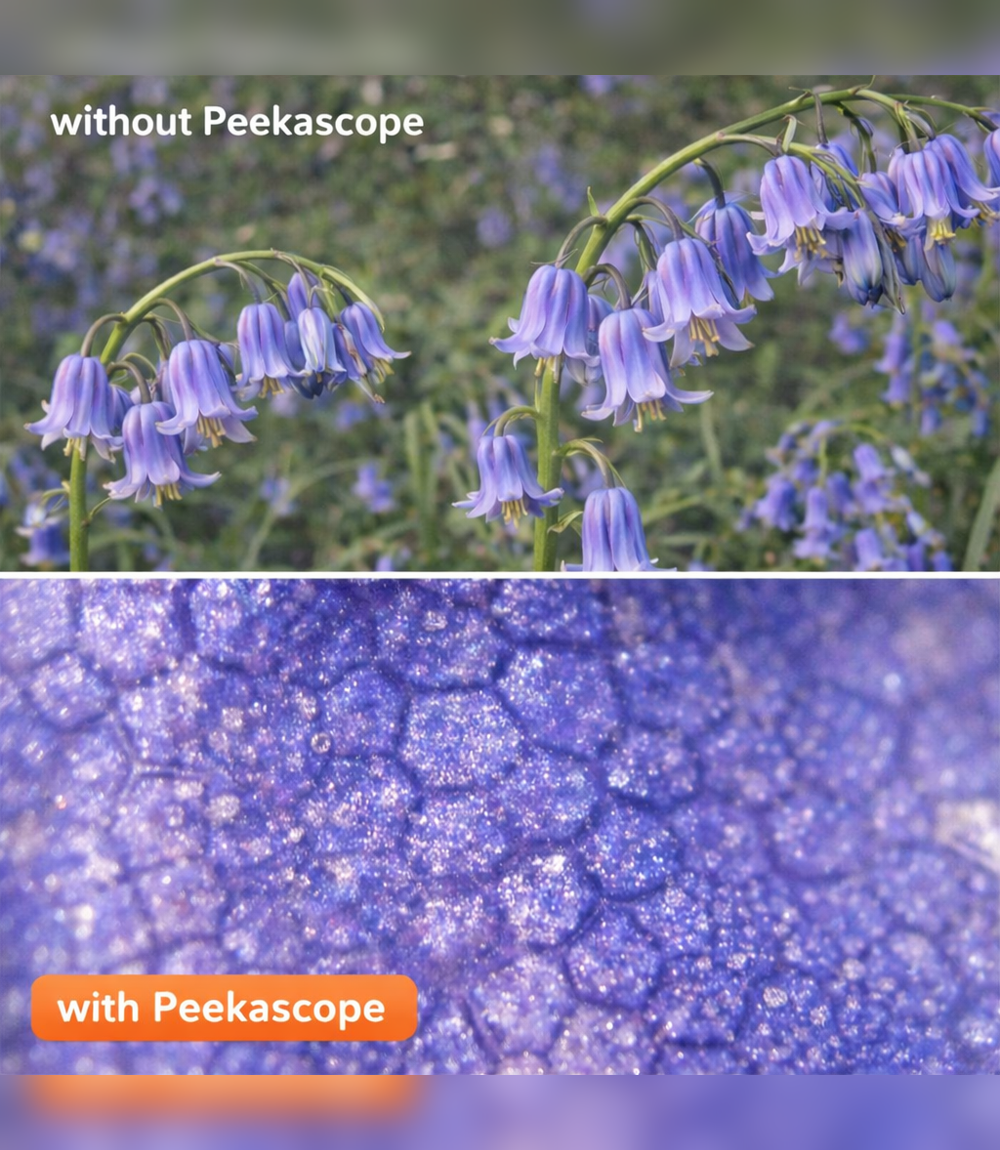 PeekaScope™ | Handheld Digital Microscope